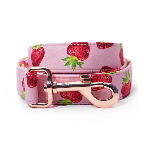 Strawberry Shortcake Collar & Leash Set