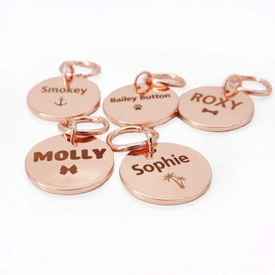 Lux Collar & Leash Set with Personalized Gold Name Tag