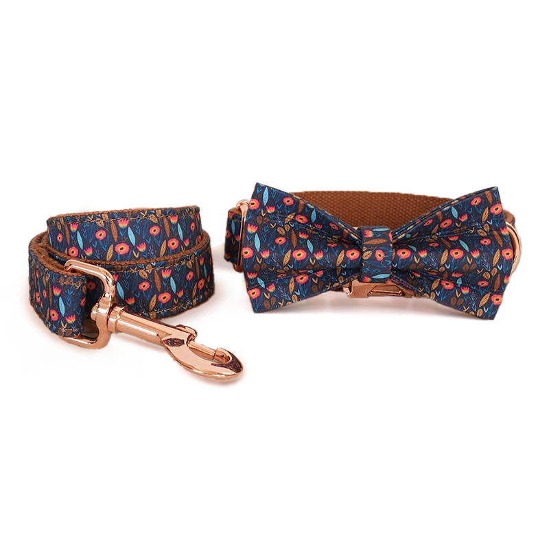 The Andi Collar & Leash Set