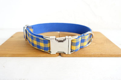 Personalized Wallace Collar & Leash Set