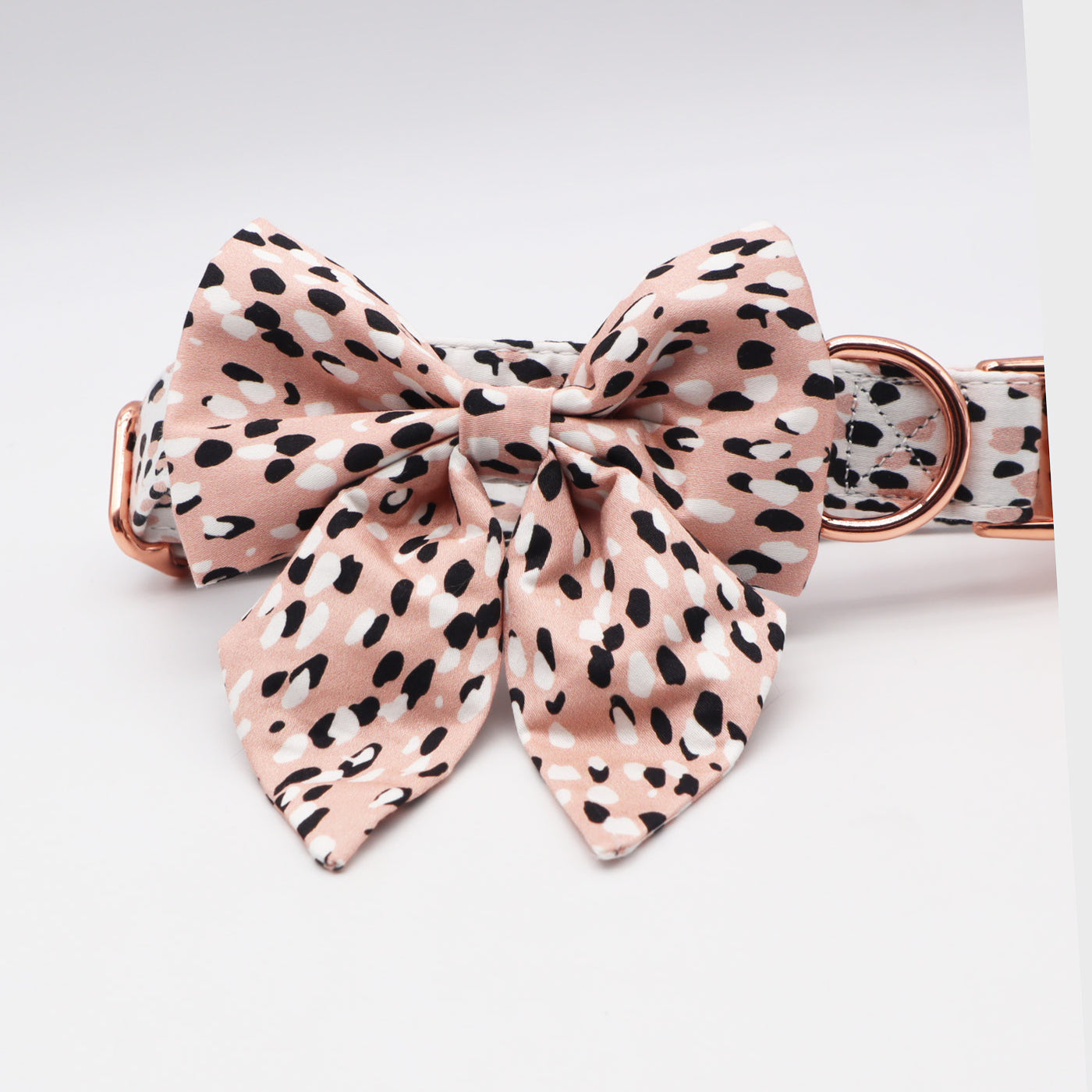 The Harlow Lady Bow Collar