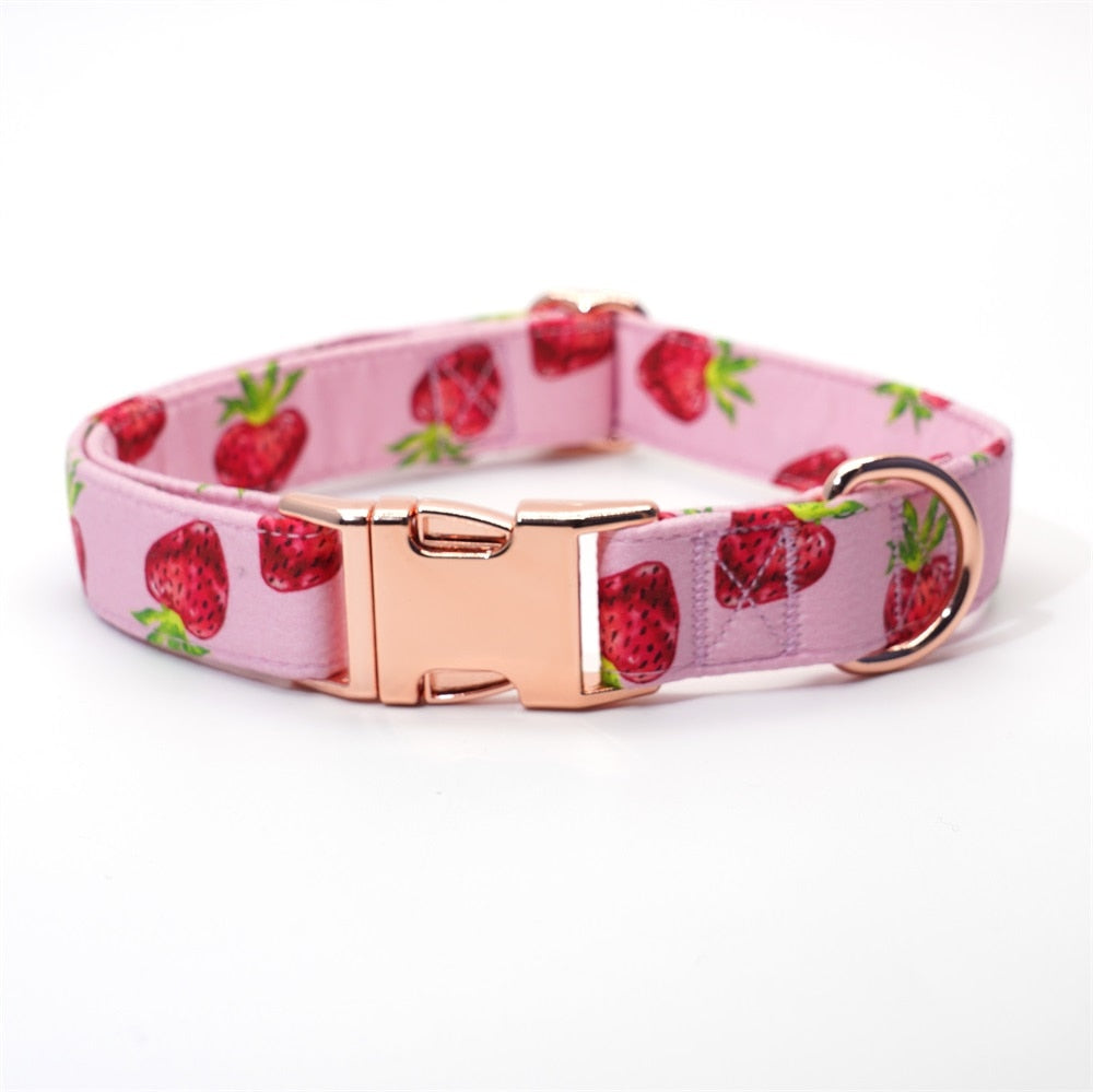 Strawberry Shortcake Flower Collar & Leash Set