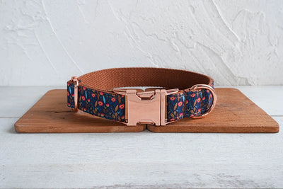 The Andi Collar & Leash Set