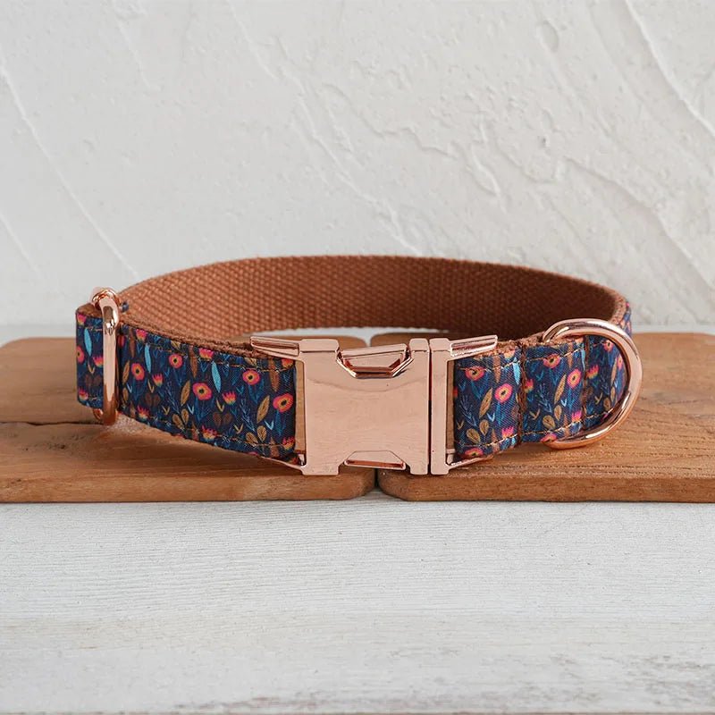 The Andi Collar & Leash Set