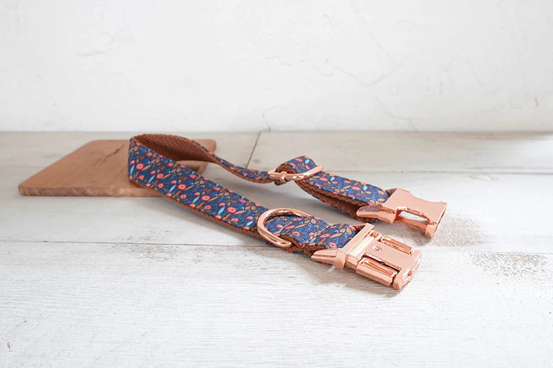 The Andi Collar & Leash Set