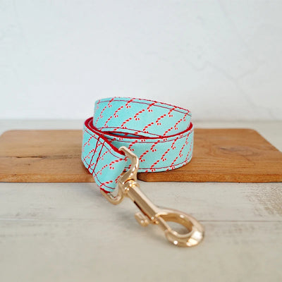 Peppermint Twist Collar & Leash Set