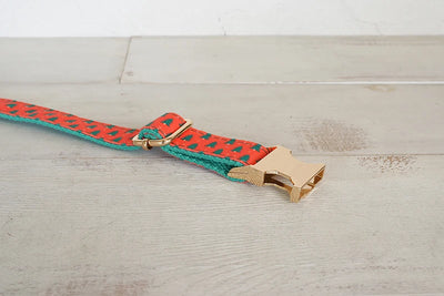 Christmas Trees - Red Collar & Leash Set