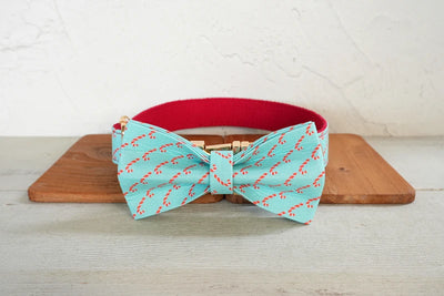 Peppermint Twist Collar