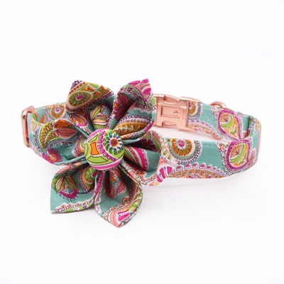 Playful Paisley Flower Collar & Leash Set