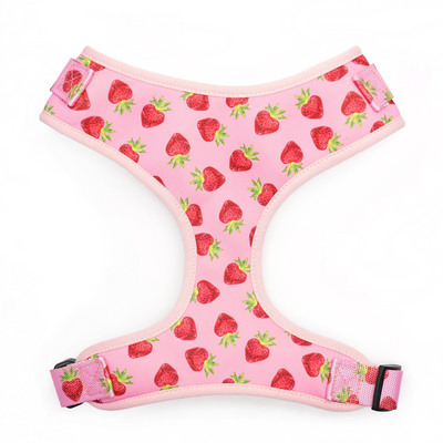 Strawberry Shortcake Harness