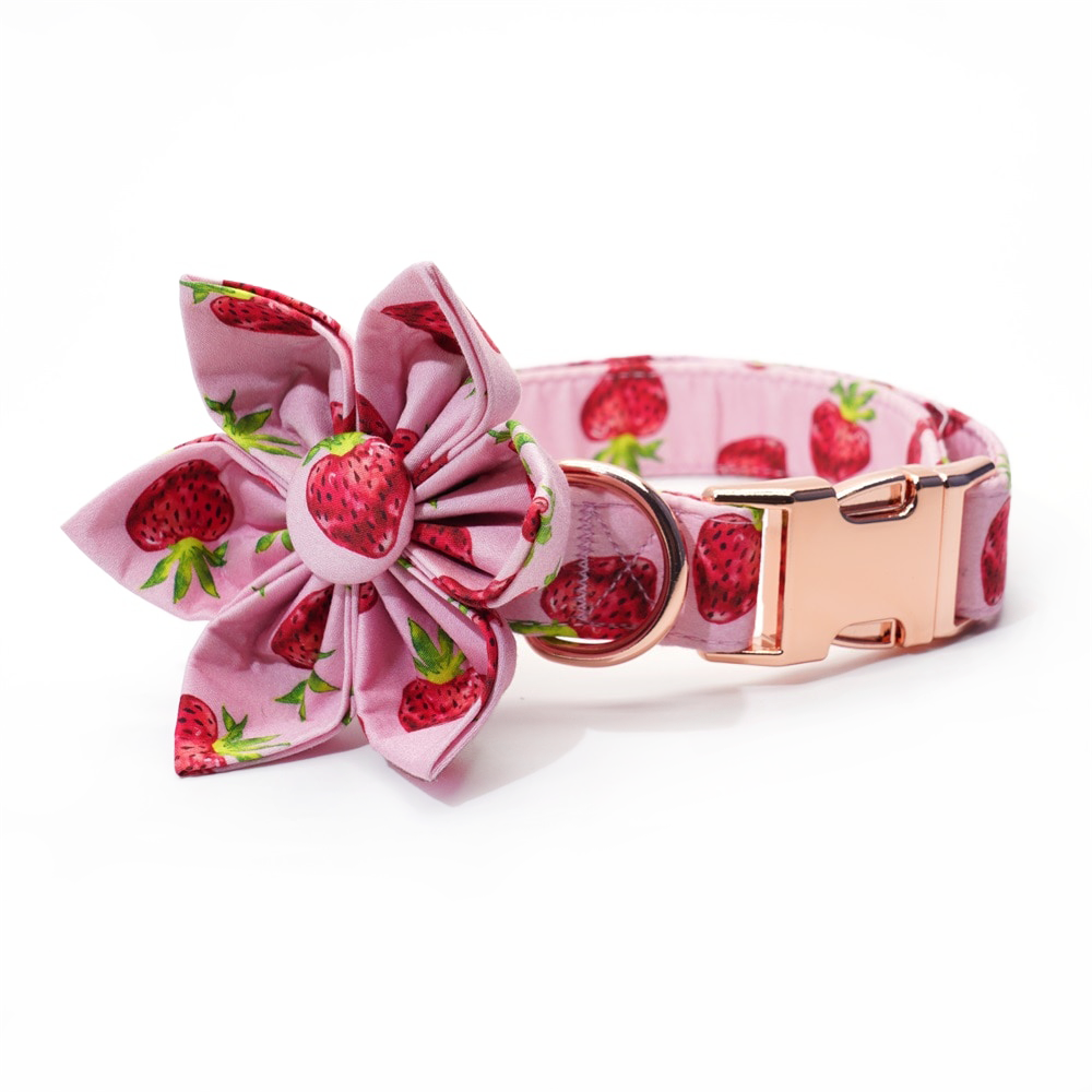 Strawberry Shortcake Flower Collar & Leash Set