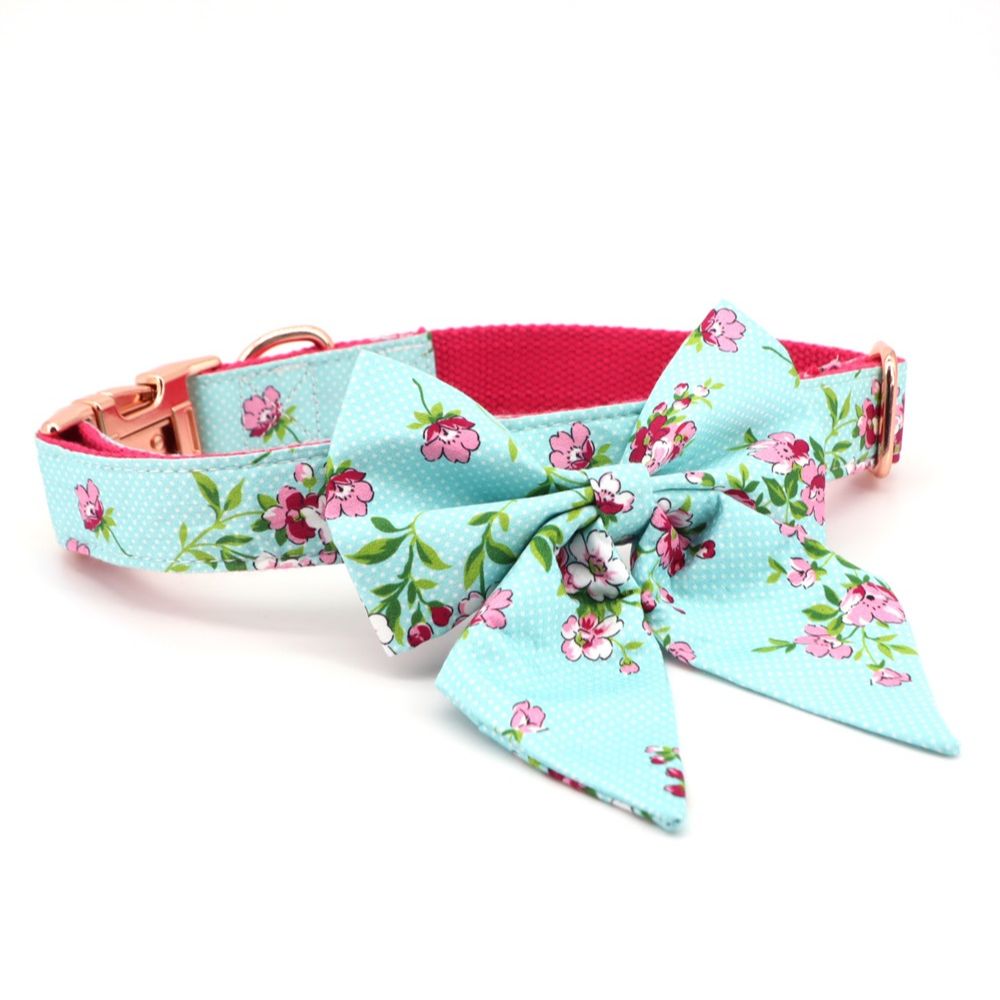 The Lucy Lady Bow Collar