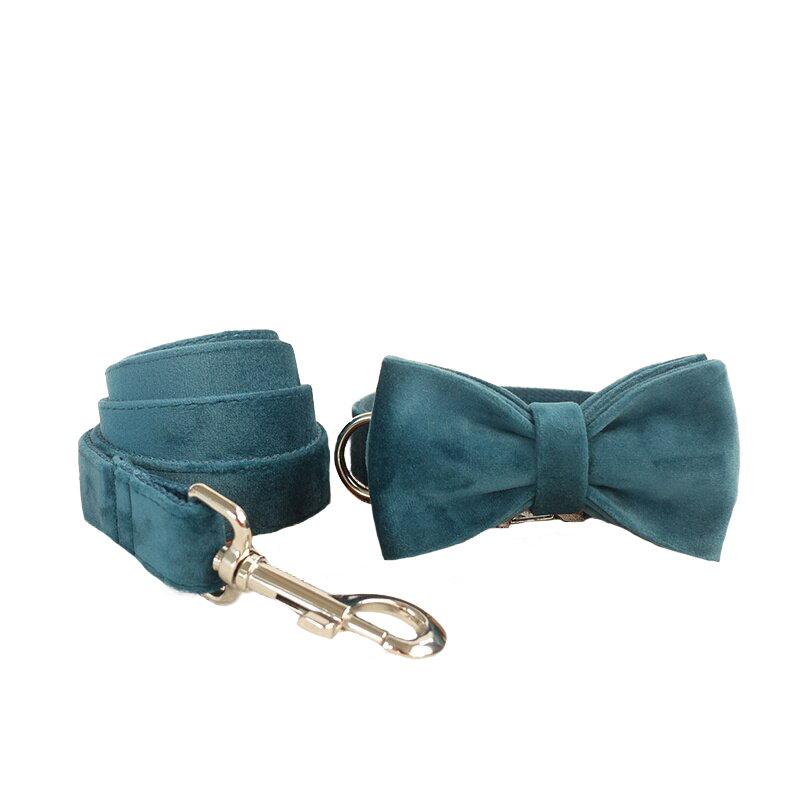 Personalized Emerald Collar & Leash Set