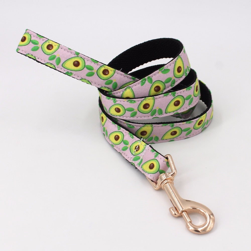 Holy Guacamole Collar & Leash Set - Collar & Leash Set