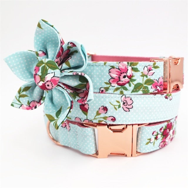 The Lucy Collar & Leash Set