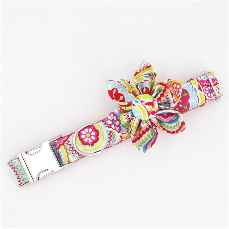 The Lilly Collar & Leash Set