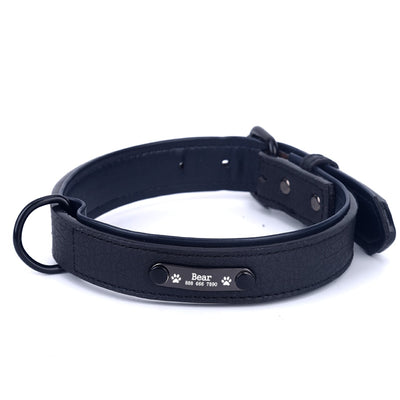 Personalized Leather Collar