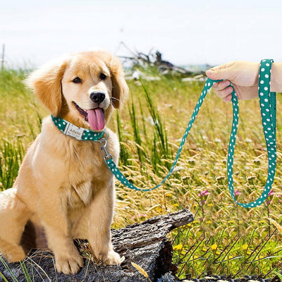 Personalized Polka Dot Collar & Leash Set