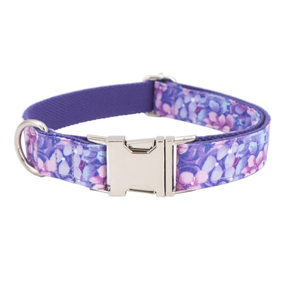 The Violet Collar