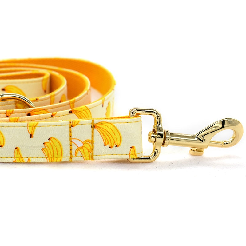 Personalized Going Bananas Collar & Leash Set