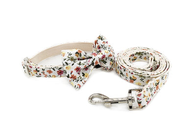 Personalized Harper Collar & Leash Set