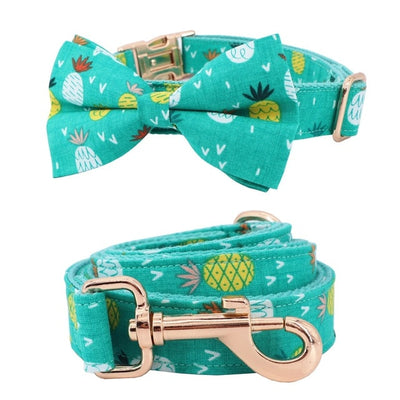 Pineapple Party Collar & Leash Set