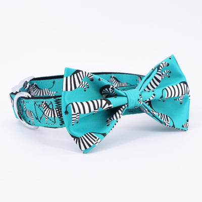 Zesty Zebra Collar & Leash Set - Turquoise
