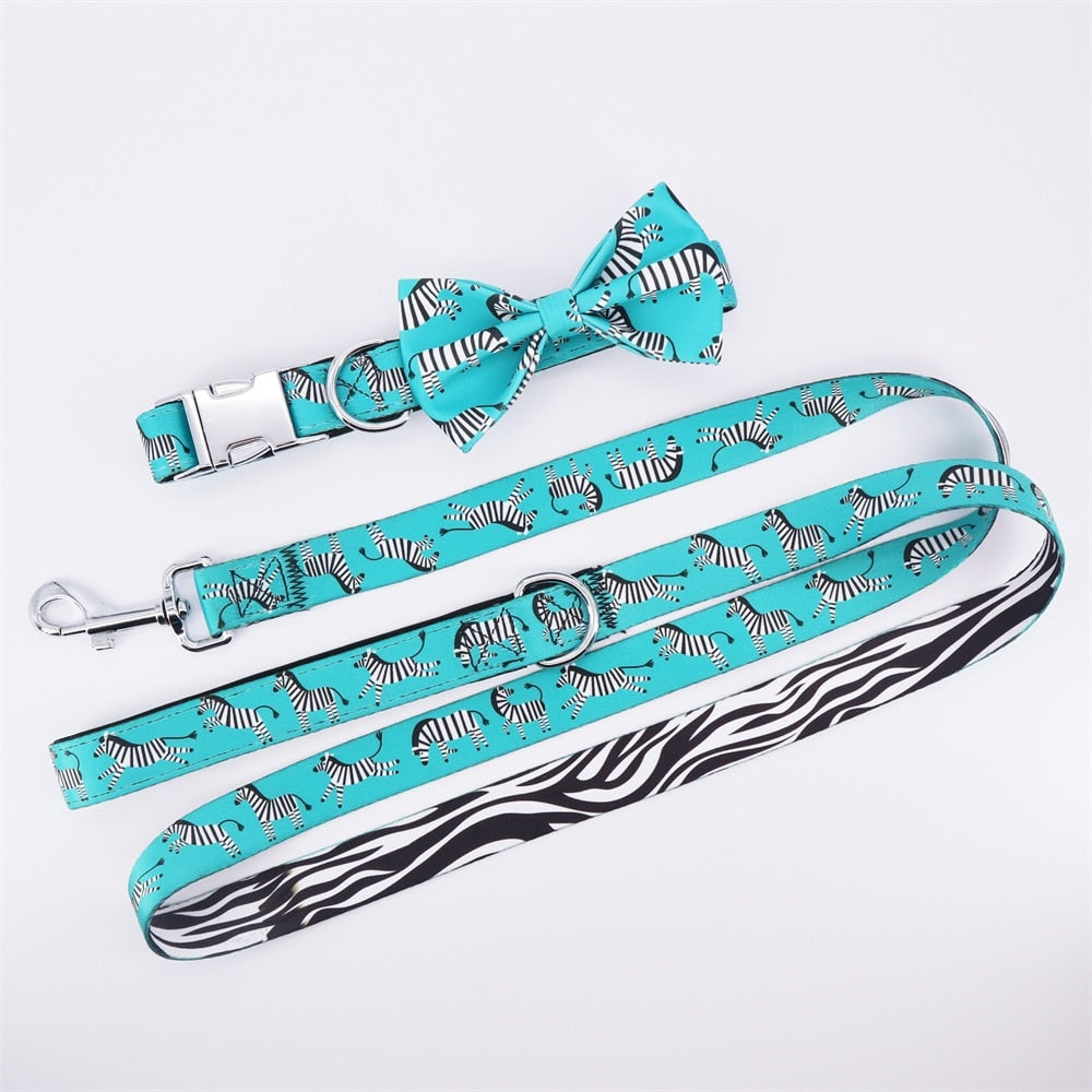 Zesty Zebra Collar & Leash Set - Turquoise