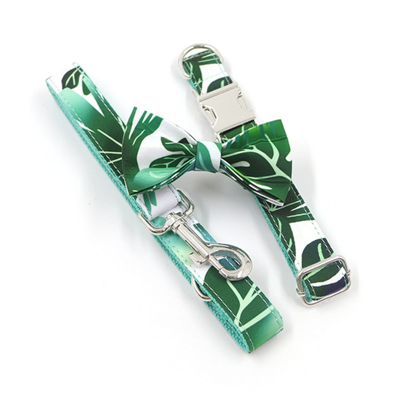 Personalized Kauai Collar & Leash Set