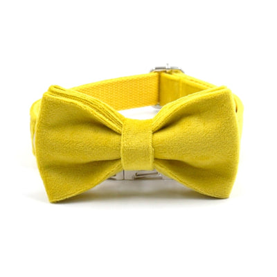 Personalized Sunny Collar