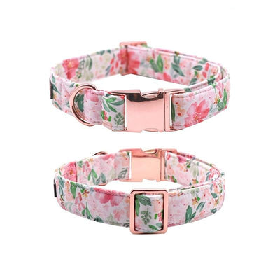 The Carly Lady Bow Collar
