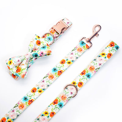 The Savannah Collar & Leash Set