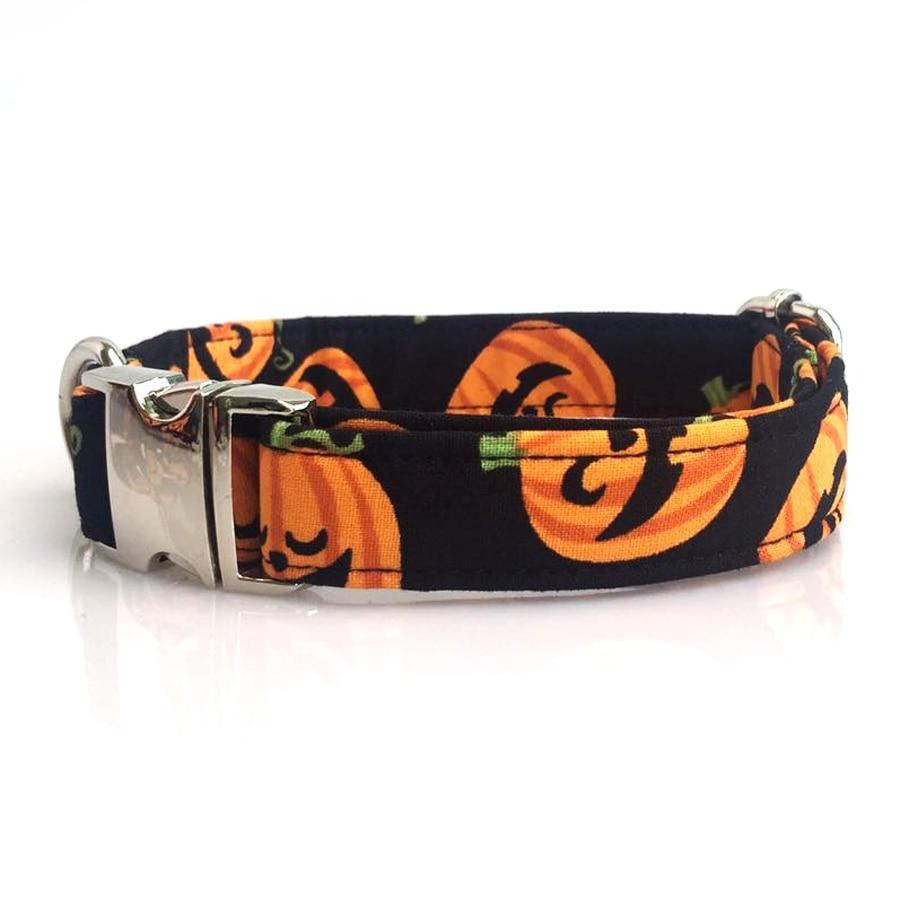 Pumpkin Patch Collar