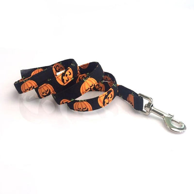Pumpkin Patch Collar & Leash Set