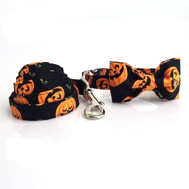 Pumpkin Patch Collar & Leash Set