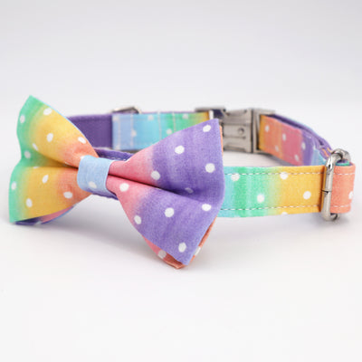 Polka Dot Rainbow Collar