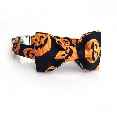 Pumpkin Patch Collar & Leash Set – Pup Unleashed