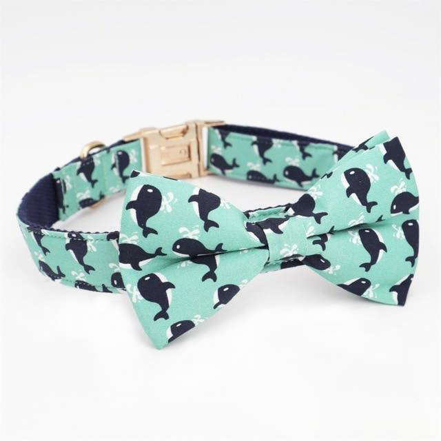 Whaley Cool Collar
