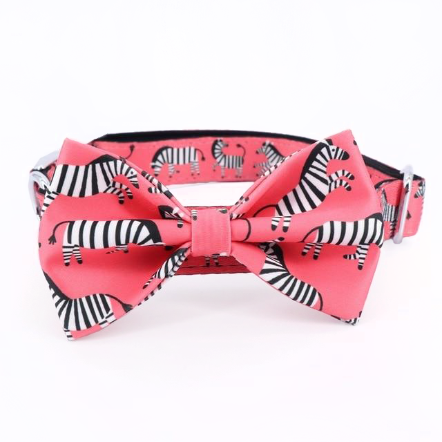 Zesty Zebra Collar - Pink